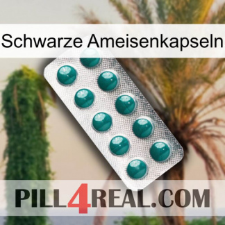 Black Ant Capsules dapoxetine1